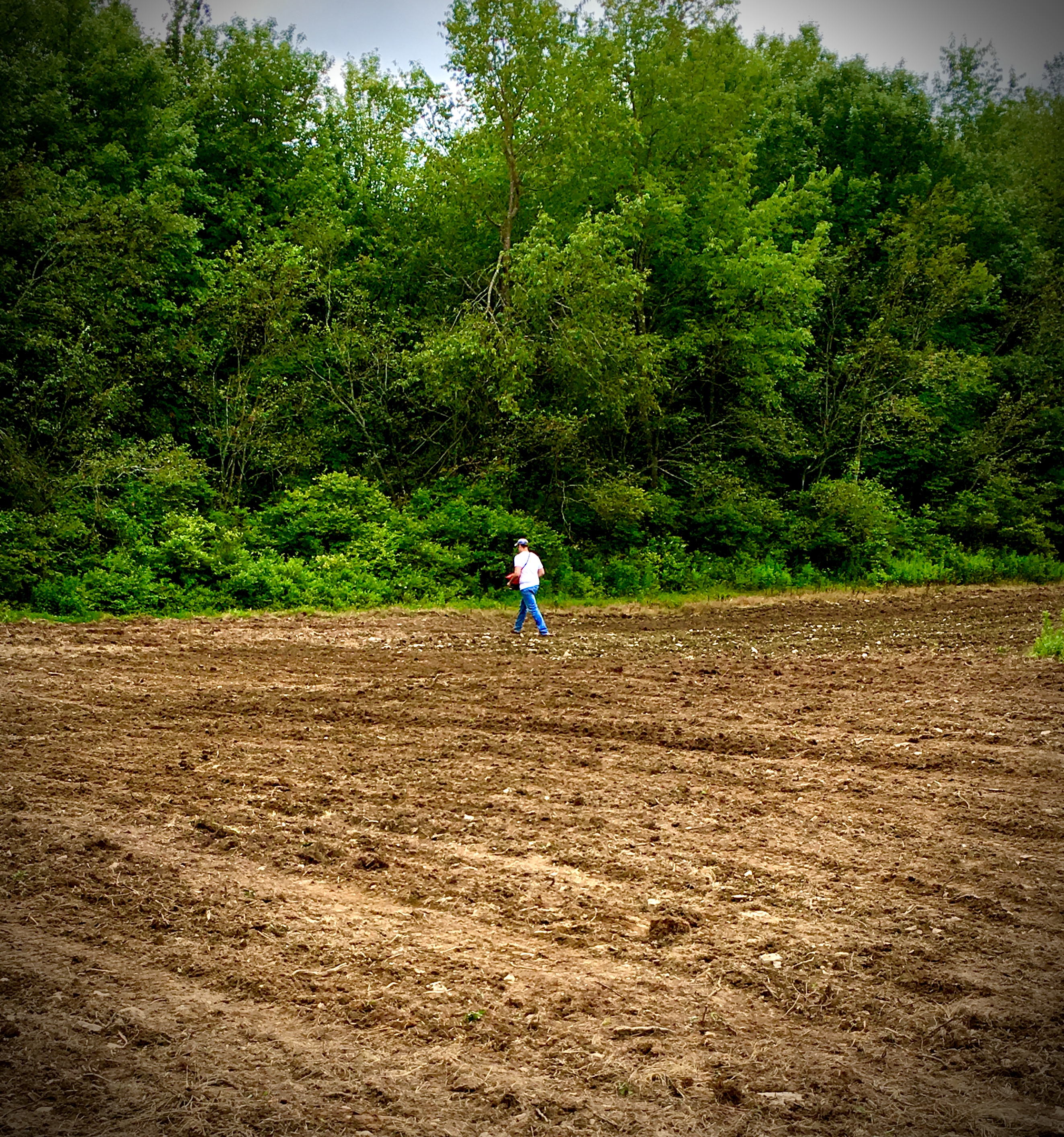 Food Plot Work